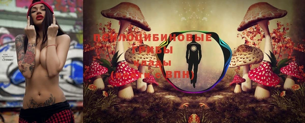 а пвп мука Горно-Алтайск