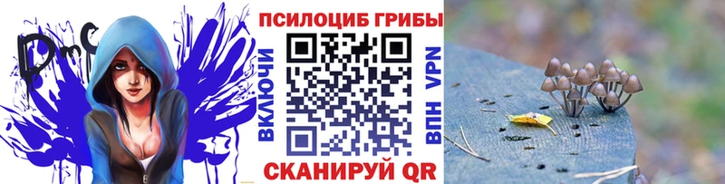 Галлюциногенные грибы Psilocybine cubensis  hydra сайт  Златоуст 